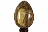 Colorful, Polished Petrified Wood Egg - Triassic #111032-1
